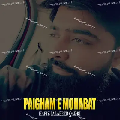 Paigham E Mohabat - Hafiz Jalabeeb Qadri album cover 