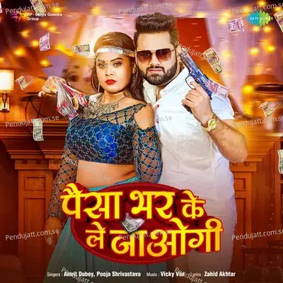 Paisa Bhar Ke Le Jaogi - Amrit Dubey album cover 