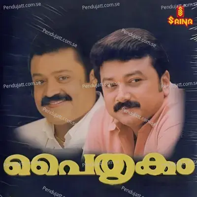 Vaalkkannezhuthiya - Female Version - S P Venkitesh album cover 