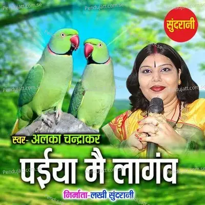 Paiya Mai Lagav - Alka Chandrakar album cover 