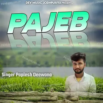 Pajeb - Bharat Singh cover album