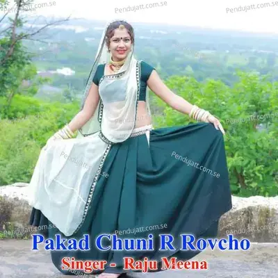 Pakad Chuni R Rovcho - Raju Meena album cover 