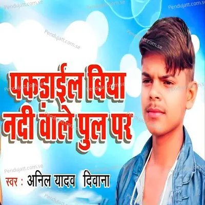 Pakarailu Biya Nadi Wale Pul Par - Anil Yadav Diwana album cover 