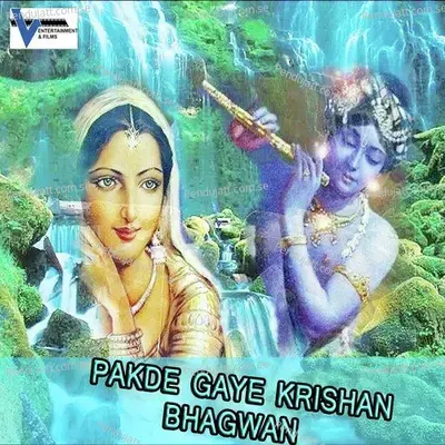 Pakde Gaye Krishan Bhagwan - Anjali Jain cover album
