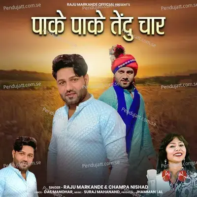 Pake Pake Tendu Char - Raju Markande album cover 