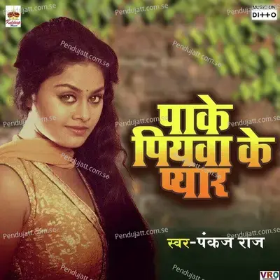 Chal Jaibu Sasura - Vikash Kushwaha album cover 