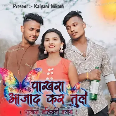 Pakhara Aajad Kar Tule - Govind Gaikwad album cover 