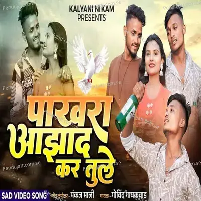 Pakhara Azad Kar Tule - Govind Gaikwad album cover 