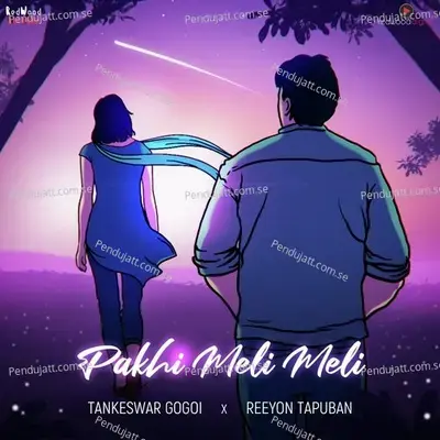 Pakhi Meli Meli - Tankeswar Gogoi album cover 