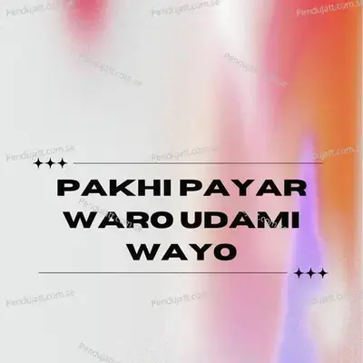 Pakhi Payar Waro Udami Wayo - Muhammad Owais Raza Qadri album cover 