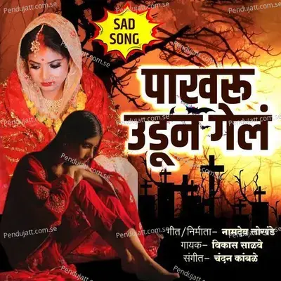 Pakhru Udun Gel - Vikas Salve album cover 