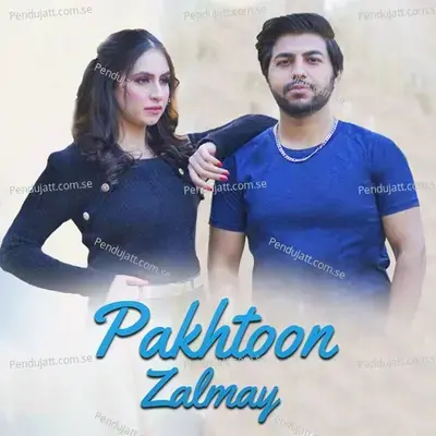 Pakhtoon Zalmay - Zahid Babu album cover 