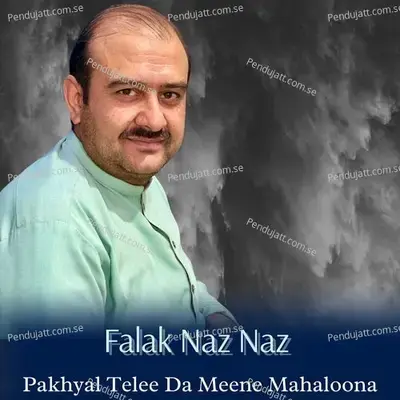 Pakhyal Telee Da Meene Mahaloona Jorawam - falak Naz Naz album cover 