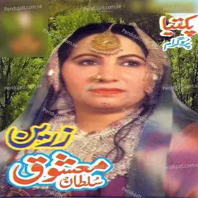 Paktiya 4 - Zareen album cover 