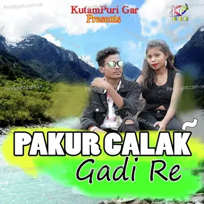 Pakur Calak Gadi Re - Stephan Tudu album cover 