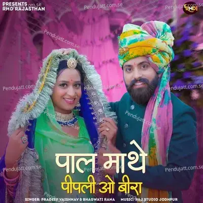 Pal Mathe Pipli O Beera - Pradeep Vaishnav album cover 