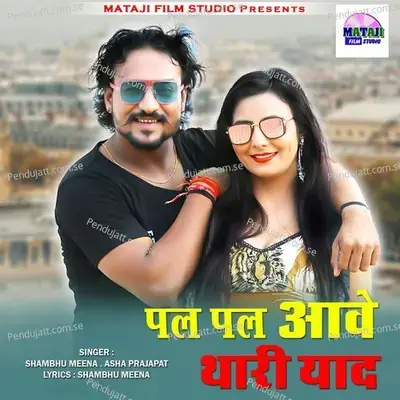 Pal Pal Aave Thari Yad - Shambhu Meena album cover 