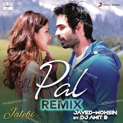 Pal ) - DJ Amit B album cover 