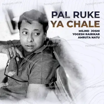 Pal Ruke Ya Chale - Yogesh Rairikar album cover 