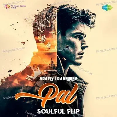 Pal - Soulful Flip - VDJ Fly album cover 