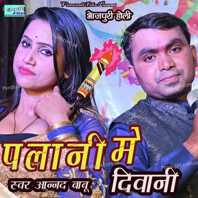 Palaani Me Deewani - Anand Babu album cover 