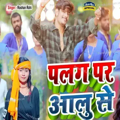 Palag Par Aalu Se - Raushan Rohi album cover 