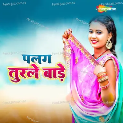  - Bhanu Bedardi 