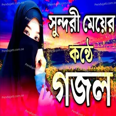 Palaiba Koi Jaiyare Manush Lokaiba Koi Jaiya - Asma Akter album cover 