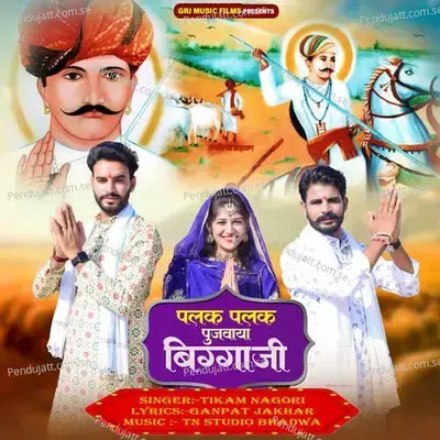 Palak Palak Pujvaya Biggaji - Tikam Nagori album cover 