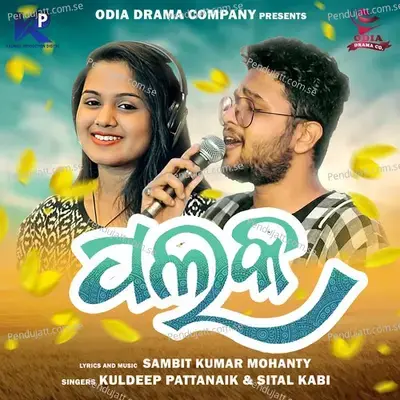 Palaka - Kuldeep Pattanaik album cover 