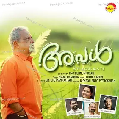 Palanaalay - P. Jayachandran album cover 