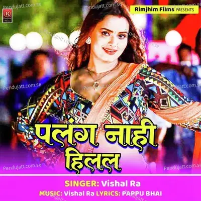 Palang Nahi Hilal - Vishal Raj album cover 