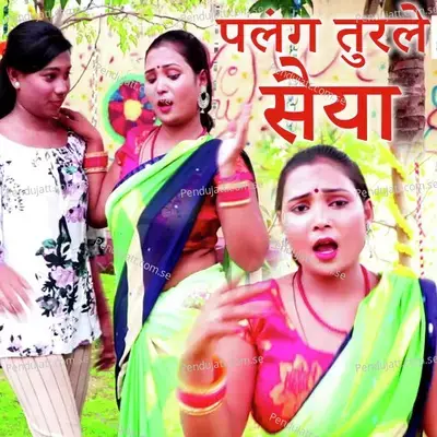 Palang Turale Saiya - Shambhu Premi album cover 