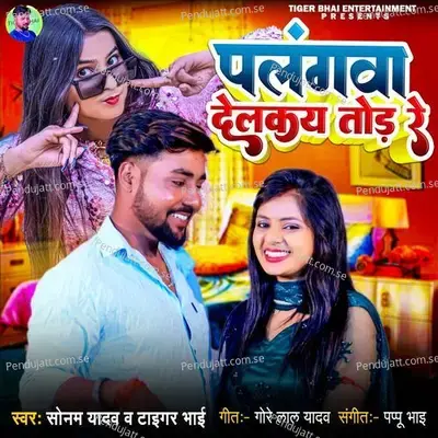 Palangwa Delkayo Tod Re - Sonam Yadav album cover 