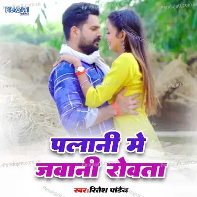 Palani Me Jawani Rowata - Ritesh Pandey album cover 