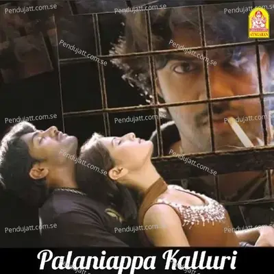 Palanimala Parangimala - Jeyam Patnaik album cover 