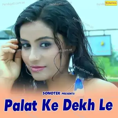 Palat Ke Dekh Le - Max Studio cover album