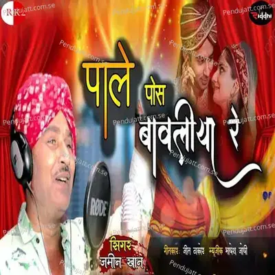 Pale Pos Bavaliya Re - Jamin Khan album cover 