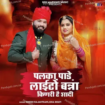 Palka Pade Lighto Banna Kinari Hai Shadi - Dinesh Rajasthani album cover 