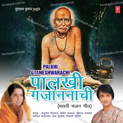 Dang Jhale Lok Saare - Anuradha Paudwal album cover 