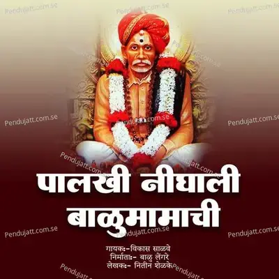 Palkhi Nighali Balumamachi - Vikas Salve album cover 