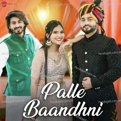 Palle Baandhni - Sameer Hussain album cover 