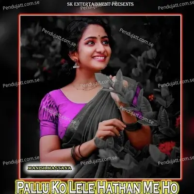 Pallu Ko Lele Hathan Me Ho - Manish Mastana