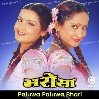 Paluwa Paluwa Bhari - Sanjeevani Bhelande album cover 