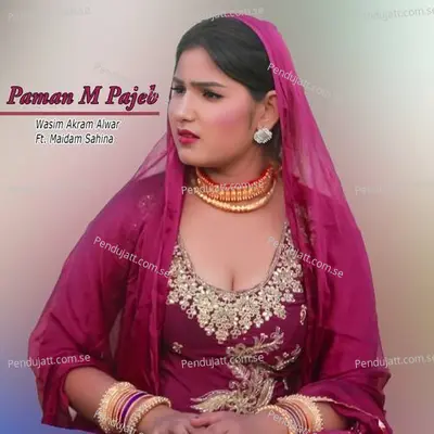 Pappi Mt Lewa - Wasim Akram Alwar album cover 