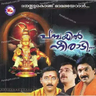 Vrathangal Palatheduthu - M.K. Sankaran Namboothiri album cover 