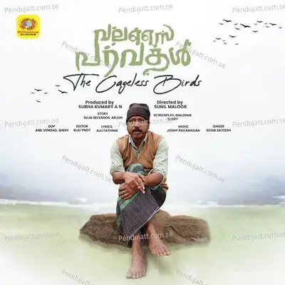 Pambonnumithikkava Pazhuthennu Thandava - Alli Fathima album cover 