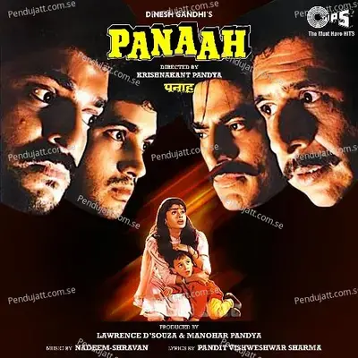 Teri Panaah Mein Humein Rakhna - Udit Narayan album cover 