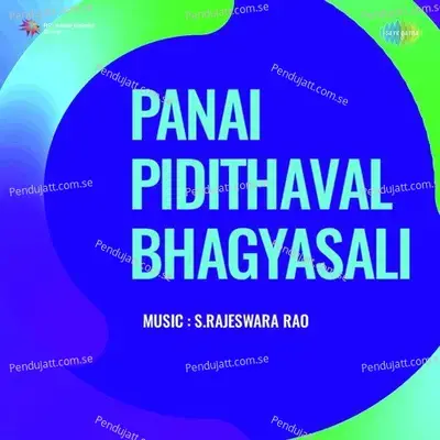 Panai Pidithaval Bhagyasali - S. V. Venkataraman cover album