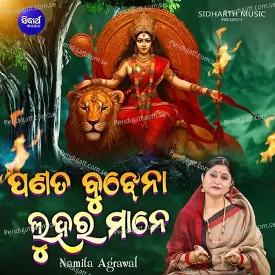 Panata Bujhena Luhara Mane - Namita Agrawal album cover 